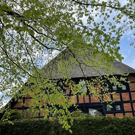 Ferienwohnung St. Dionyser Heidedorf Sankt Dionys Экстерьер фото